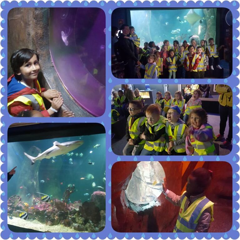 trip to bray aquarium Gallery